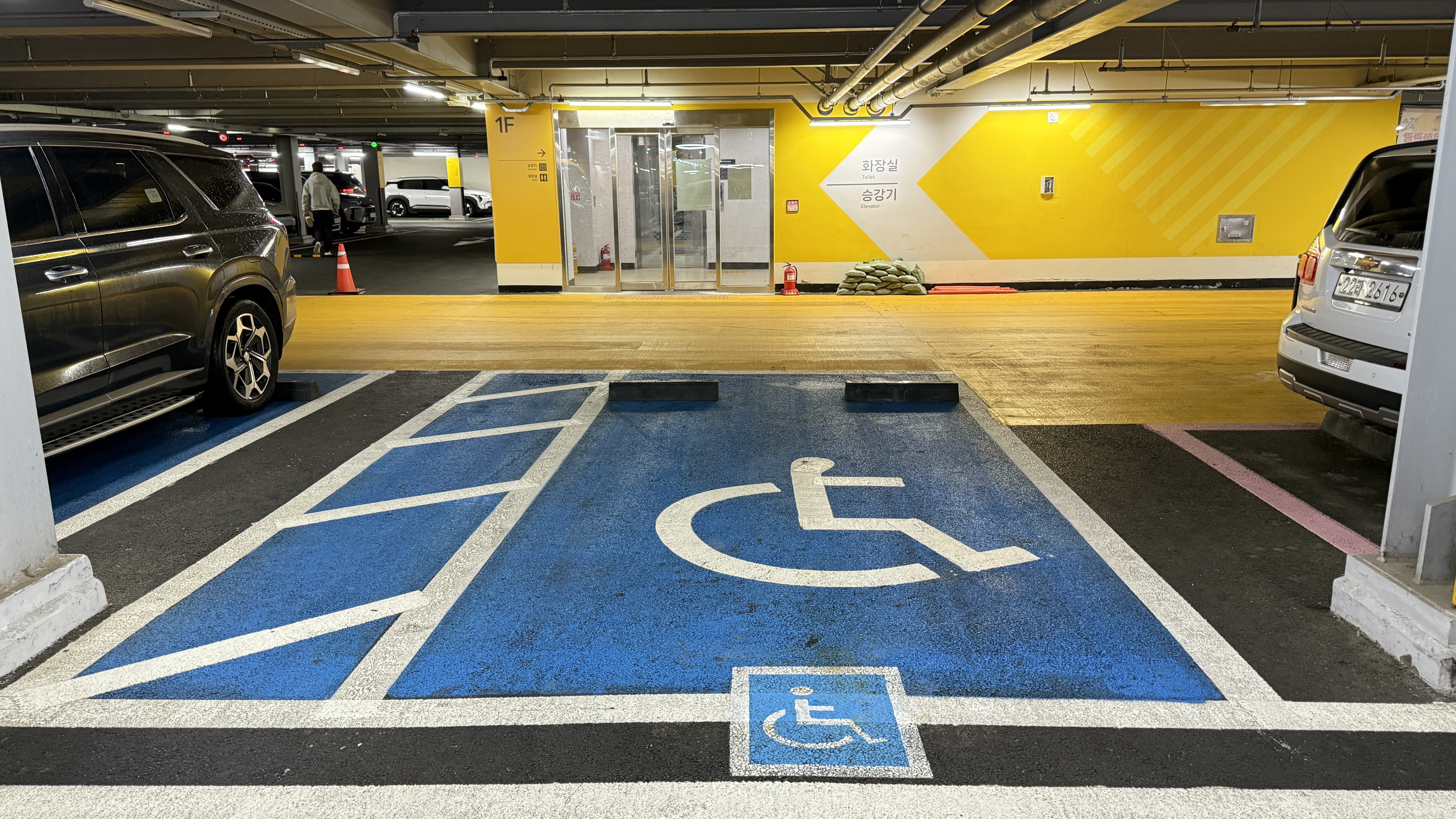 Disabled Parking Use