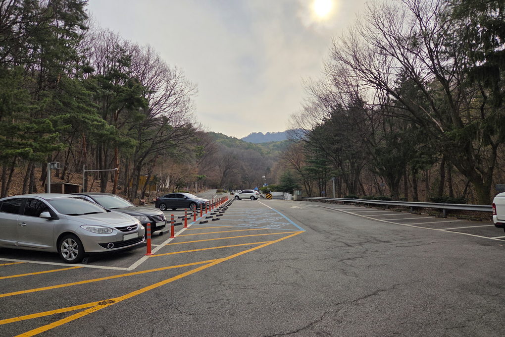 서울대공원 캠핑장 주차장