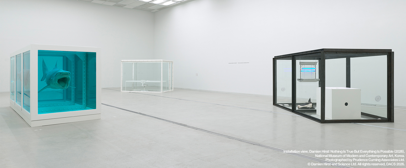 Damien Hirst