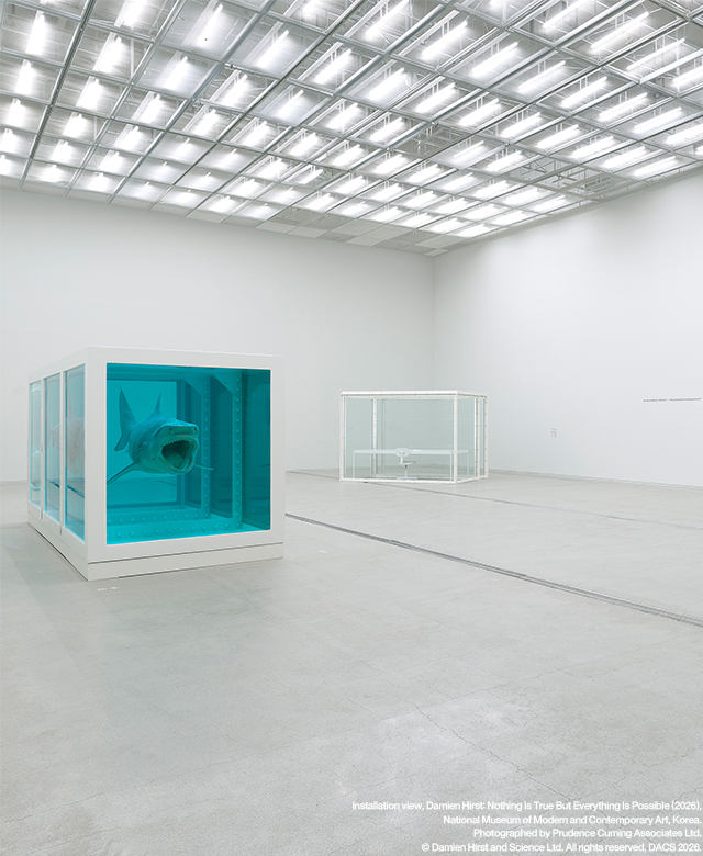 Damien Hirst